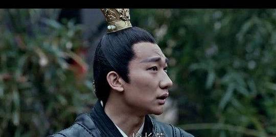 琅琊榜:梅长苏决定封掉苏宅的密道,但因一个人不同意,被阻止了_萧景琰