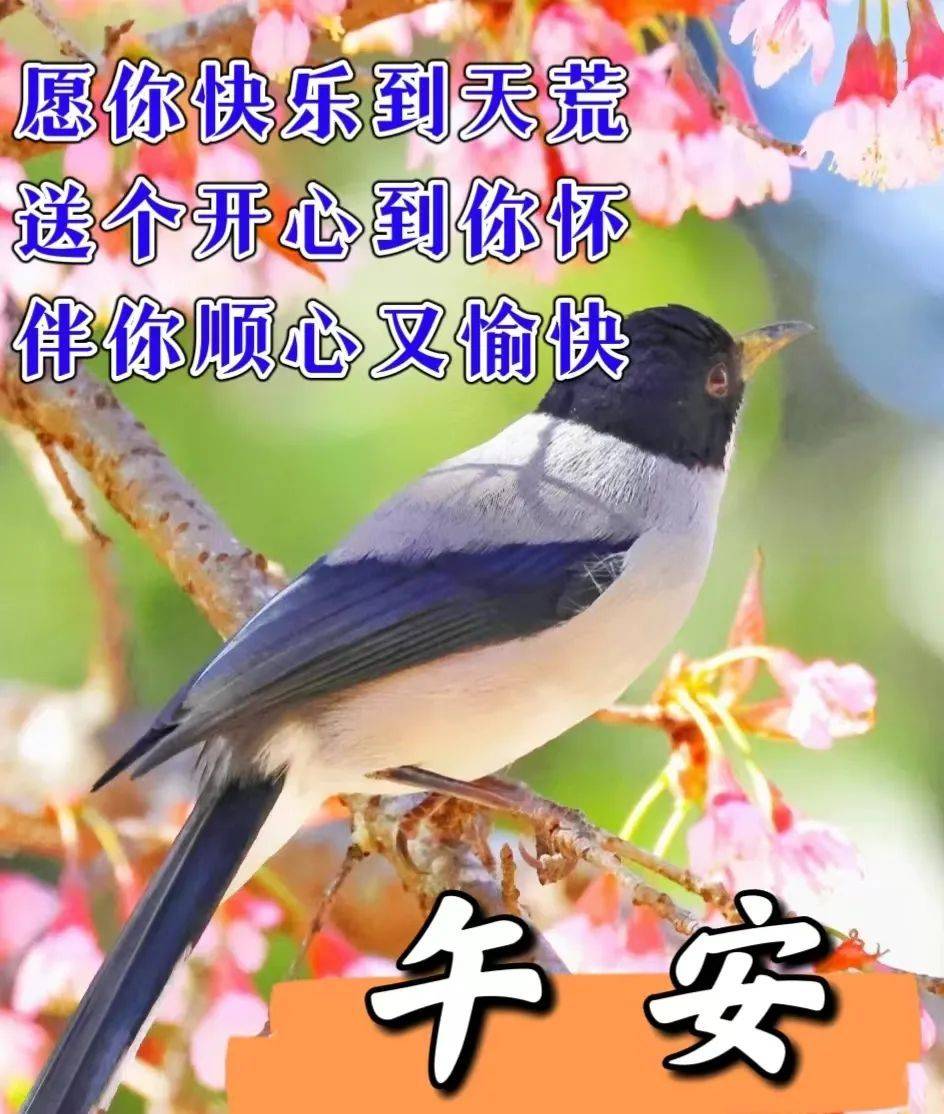 能陪在你的身旁,但我對你的祝福不會遺忘,早安,祝你幸福美滿,好運常伴