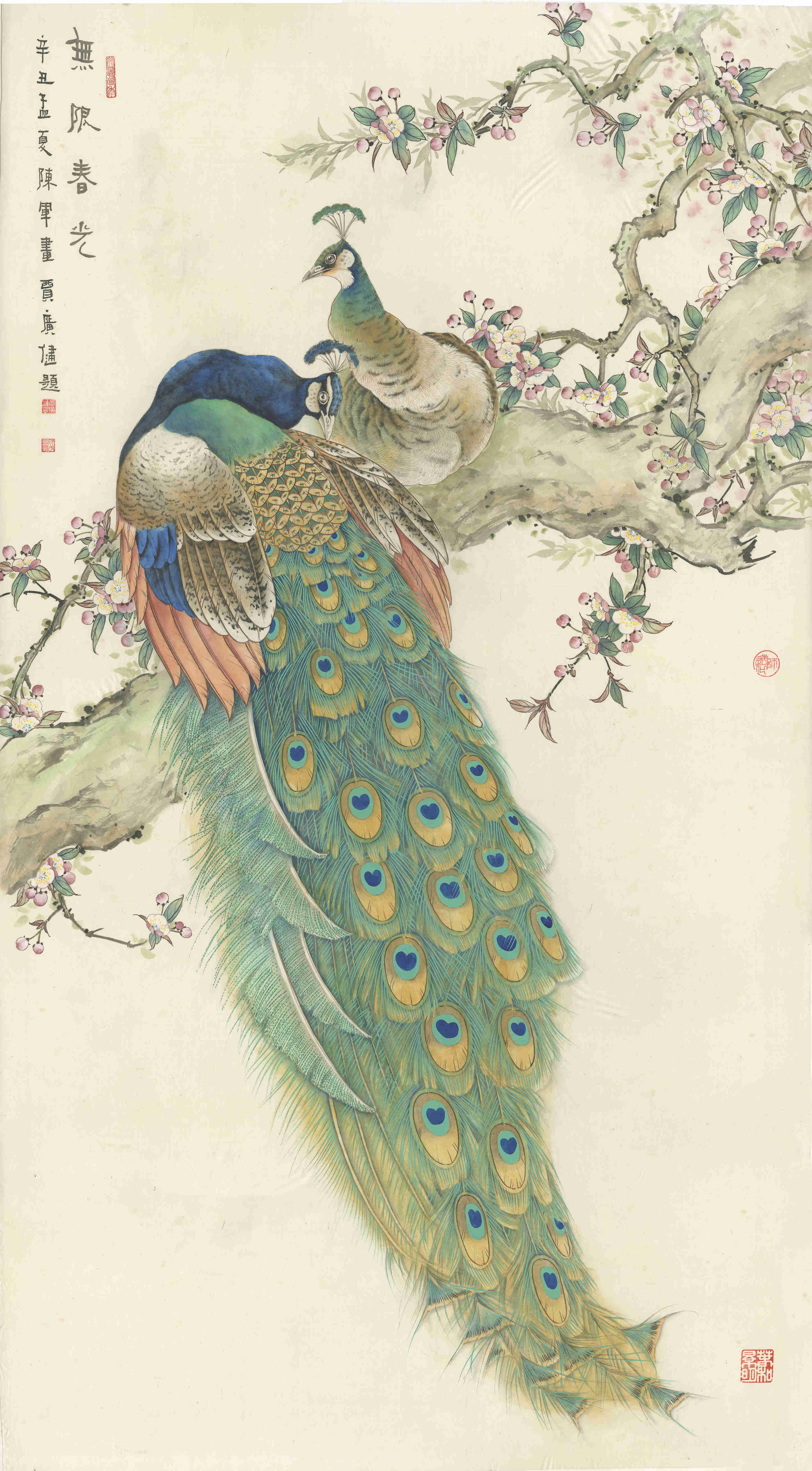 国画孔雀大师作品欣赏图片