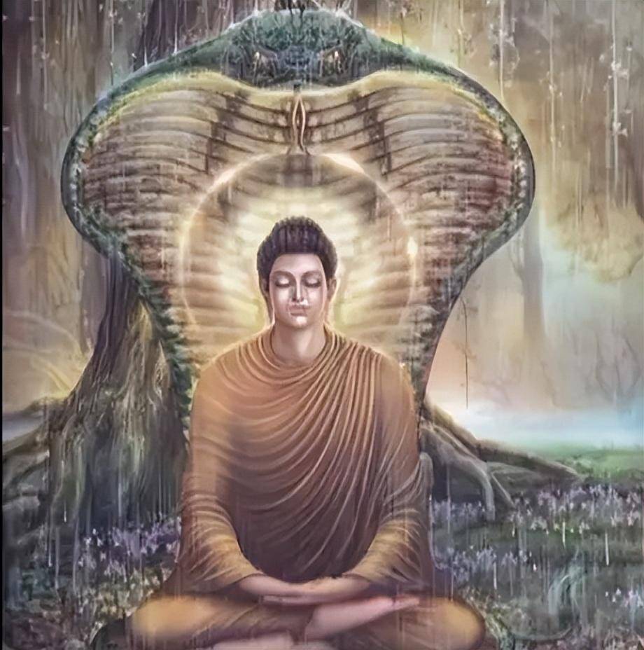 轰动一时的昆明圆通寺大蛇事件梳理,贪欲让人造出杀孽_佛教_蟒蛇_鸽子