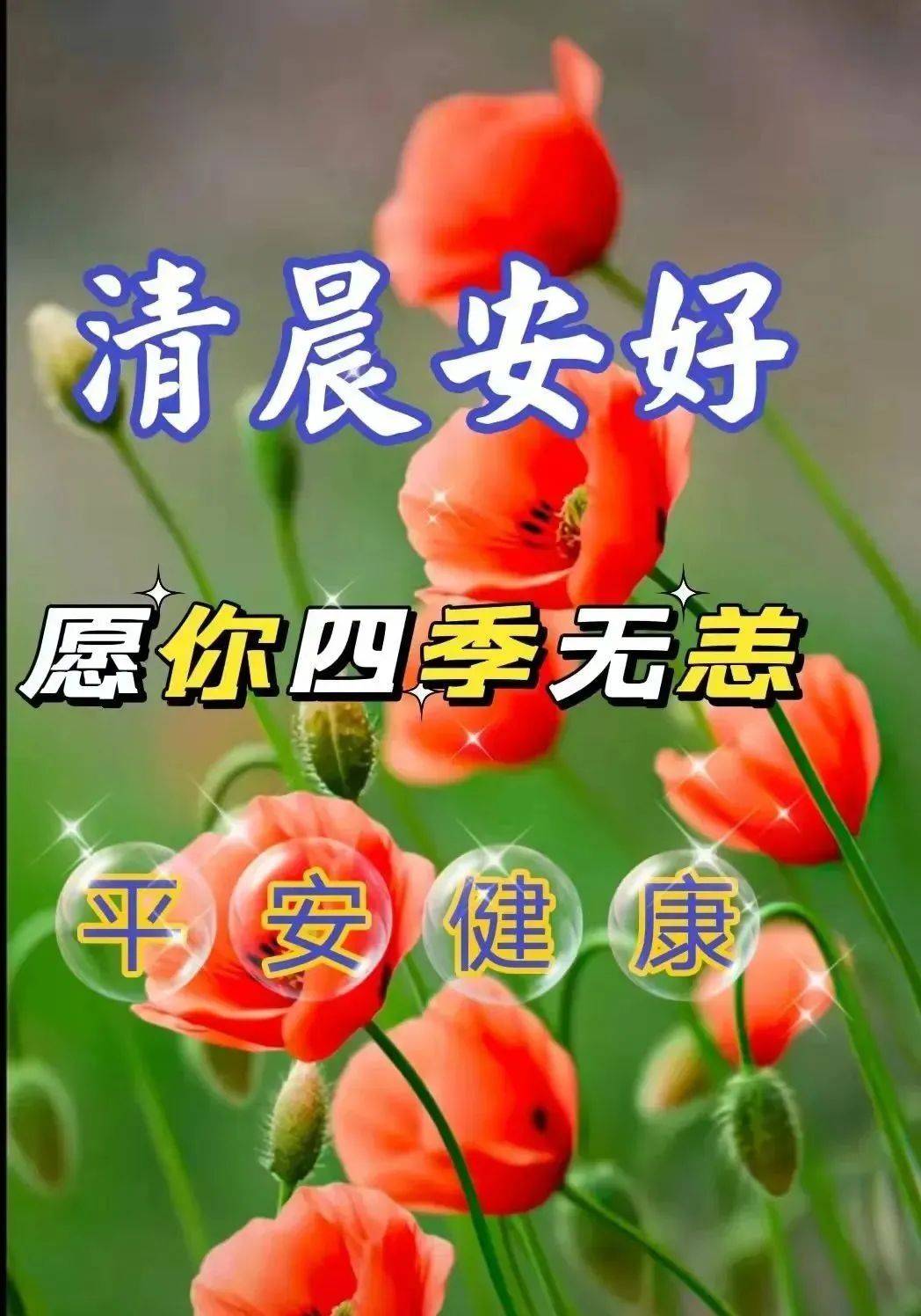 1月17日週二早上好,精選早安暖心祝福圖片帶字帶問候語錄_生活_平安