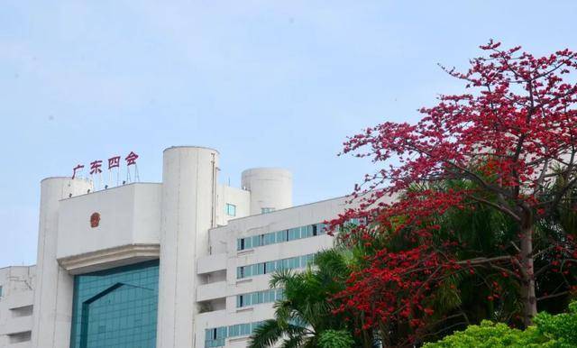 湖北老乡们春暖花开迎远客,且以美景待英雄_肇庆_疫情_服务