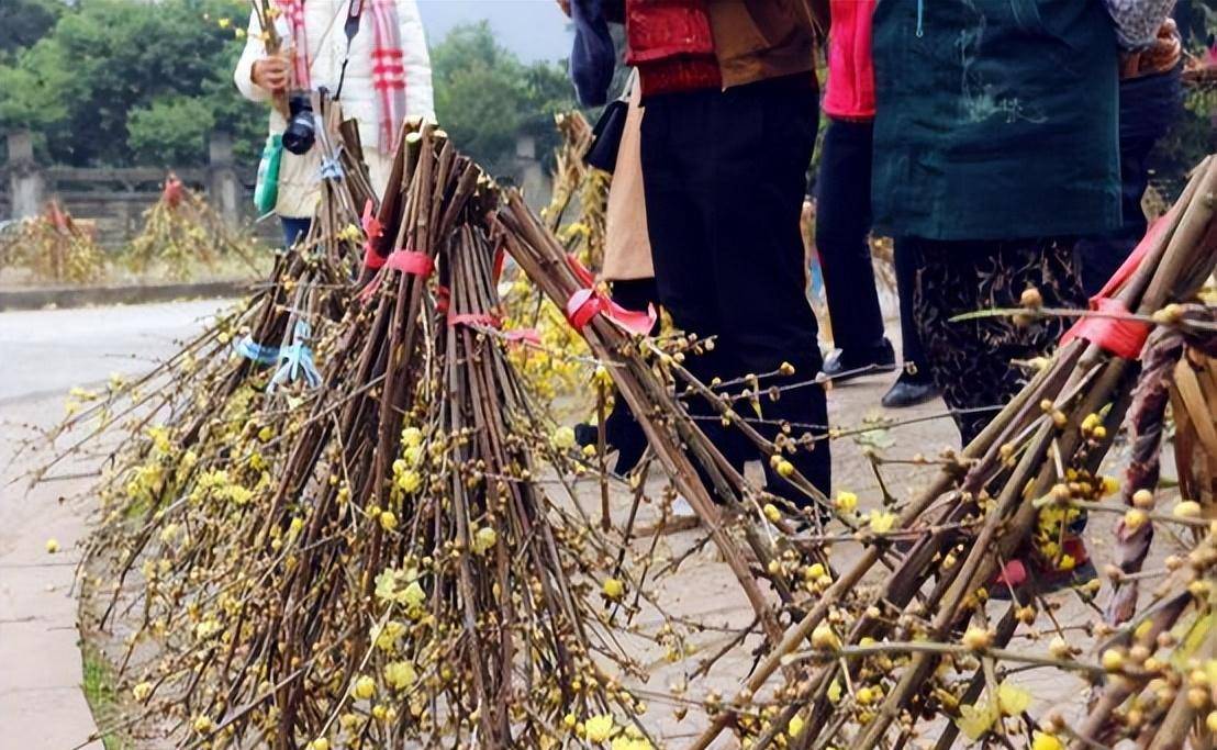 关于交通:自驾路线:水土站下道—滩口国道—药王—景观,公交:6号线