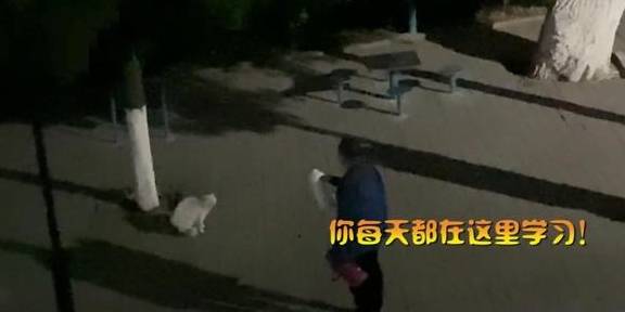 高校大叔深夜教育流离猫：你要做一个有礼貌的猫