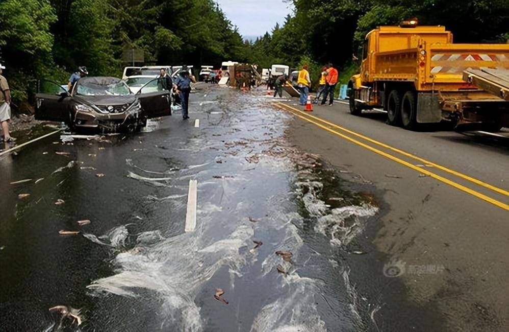 原来这些黏糊糊的物质是盲鳗的分泌液,车祸中有一辆满载盲鳗的卡车出