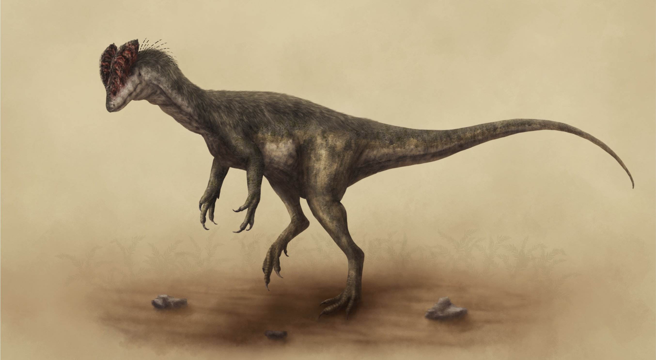 恐龙第一王朝三巨头之双脊龙_侏罗纪_头冠_霸主