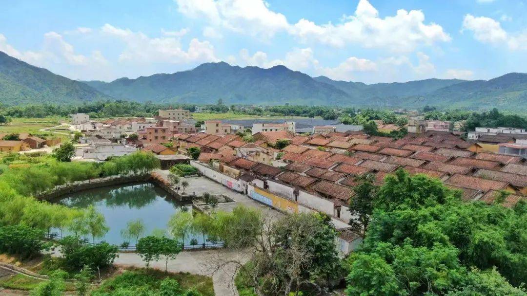 行走中宿,乡貌堂堂 | 龙颈镇邀您美好前"兔",共同奋进_发展_建设_旅游