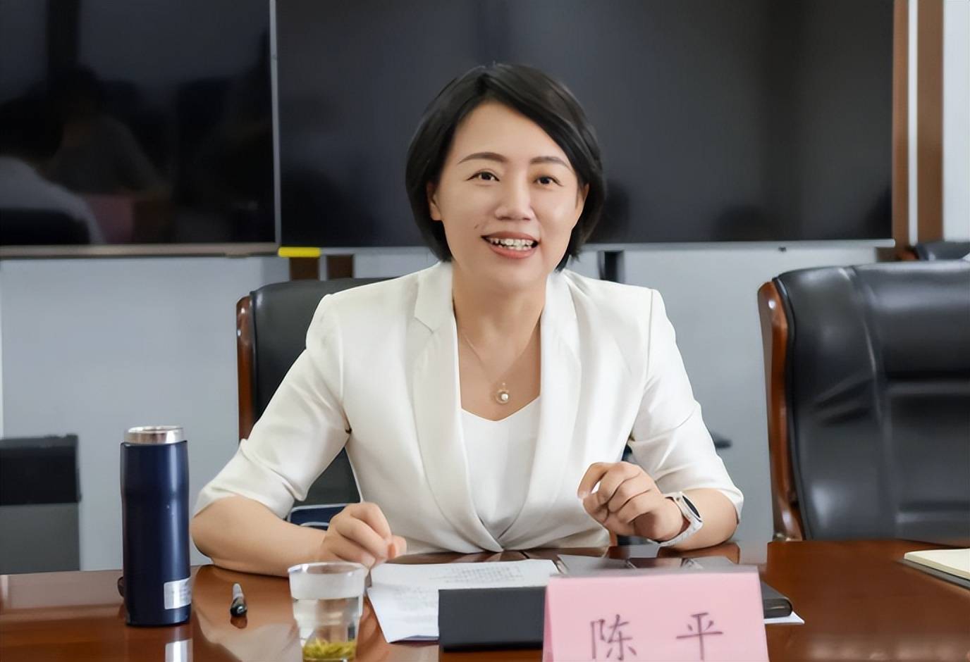 52岁副省长陈平火了,颜值能力双双在线,毕业院校惹人羡慕_岗位_就业