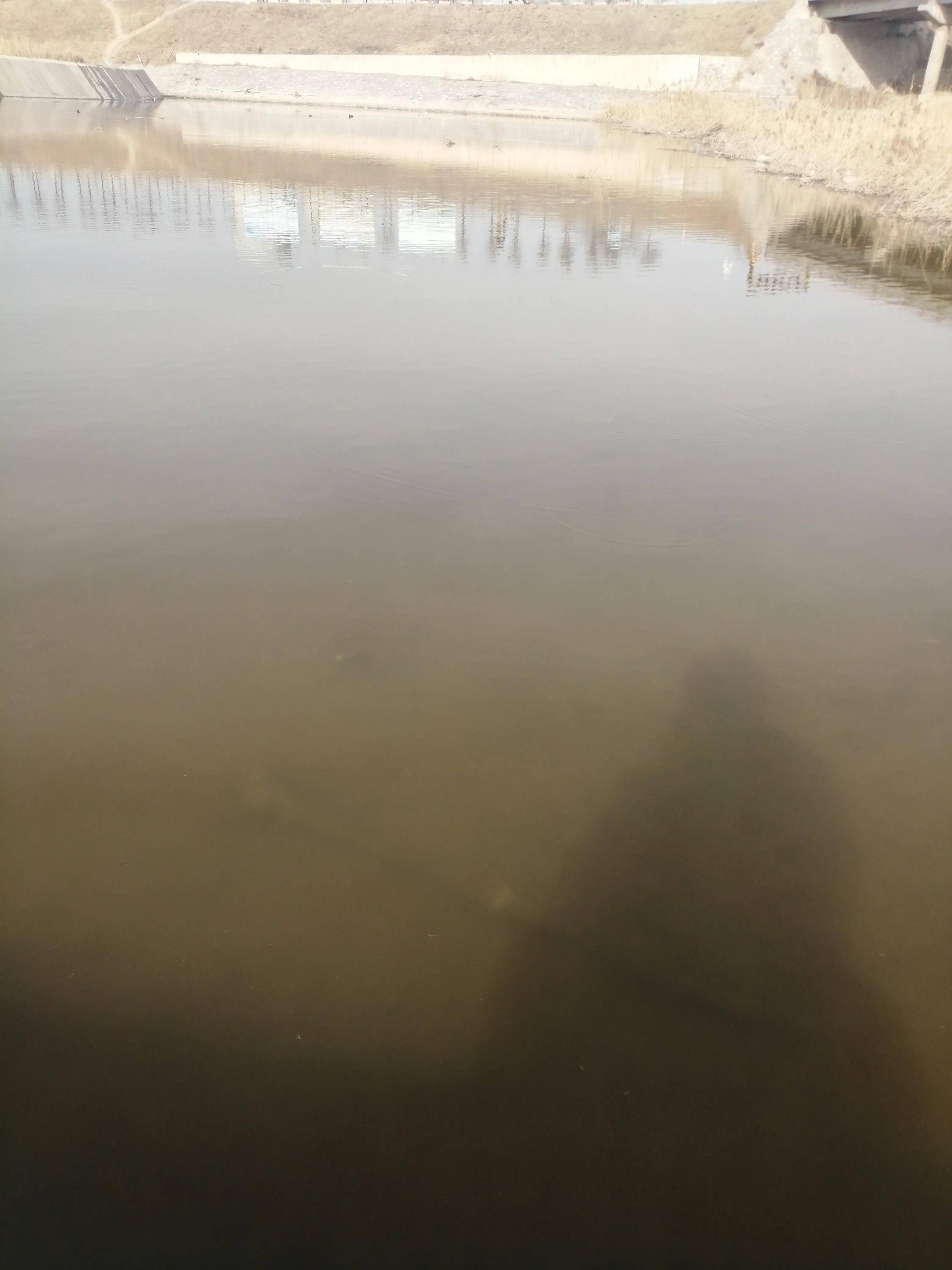 富平国度级石川河湿地公园带美女野餐