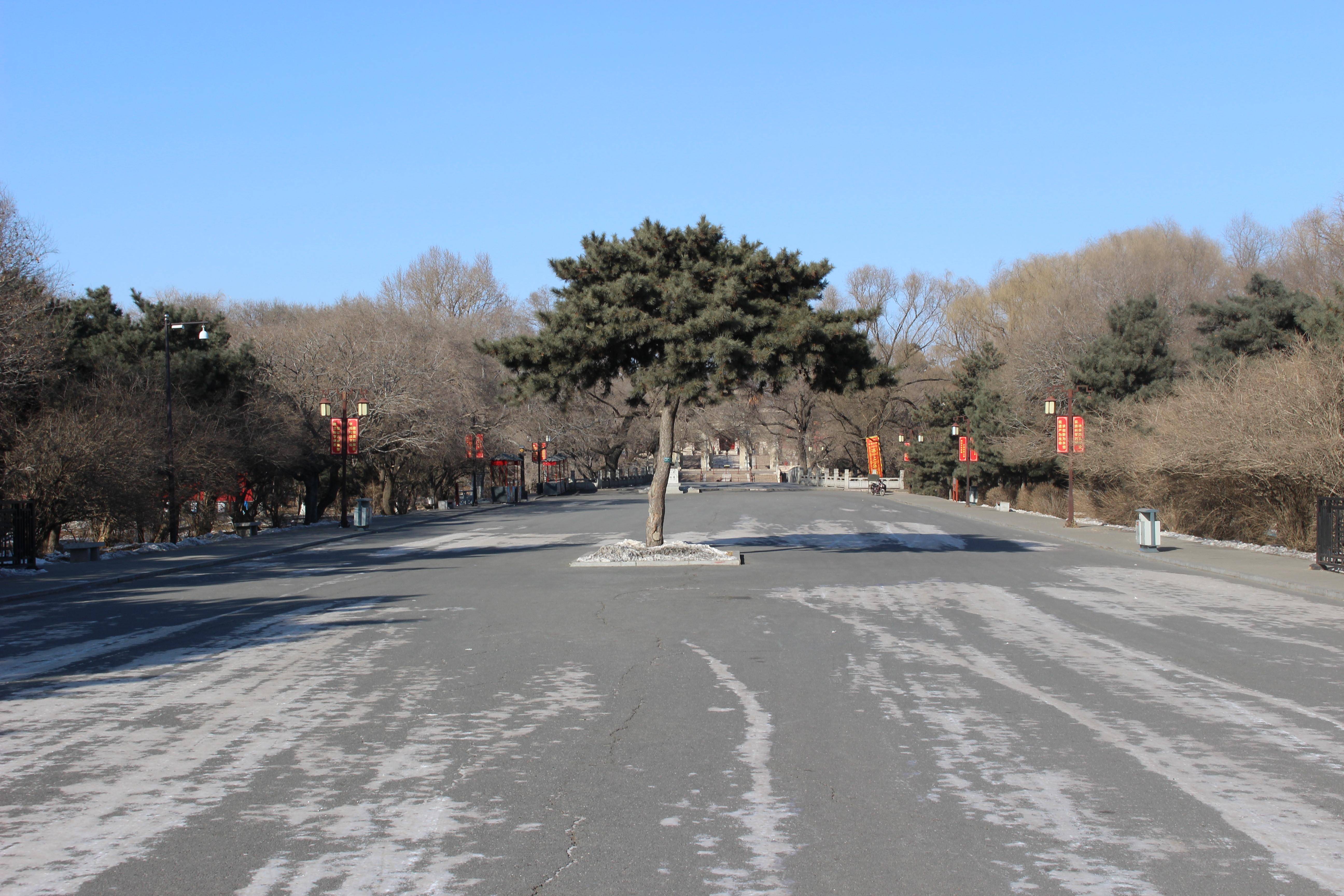 在沈阳的最初一早，分开那座展馆浩瀚的城市