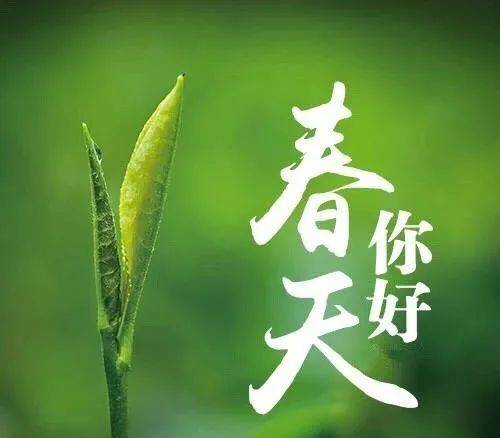 牛年立春祝福图片图片