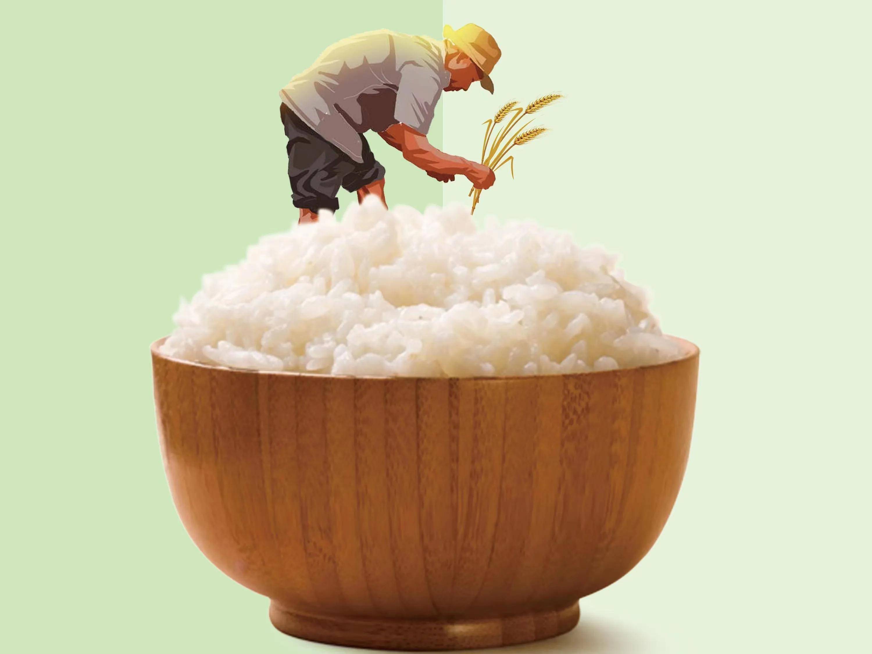 《2022年世界粮食安全和营养状况》指出,2021年全球受饥饿影响的人数