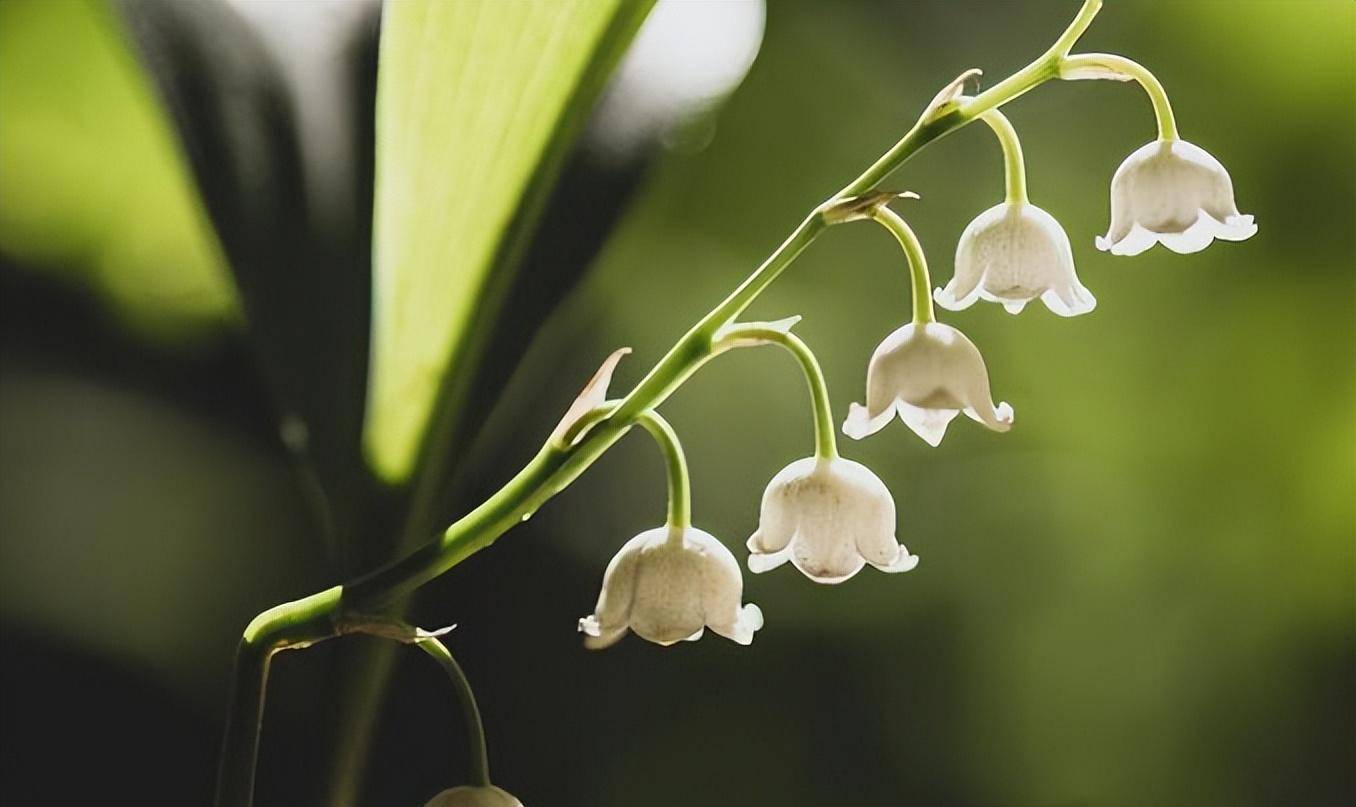 的房间里,保持清醒,关掉手机,电脑,电视等电子设备,不要睡觉,不要聊天