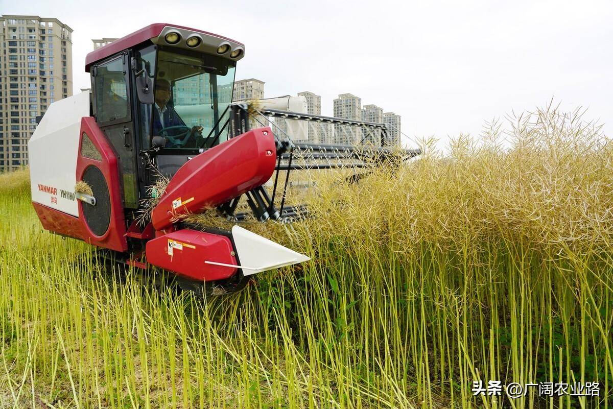 4公斤油菜收割机,雷沃谷神vs中联艾禾,配置对比见分晓_搜狐汽车_搜狐