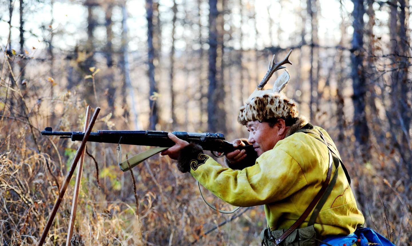 中国野猪泛滥成灾,这么多野猪究竟该如何处理?_保护_我国_华南虎
