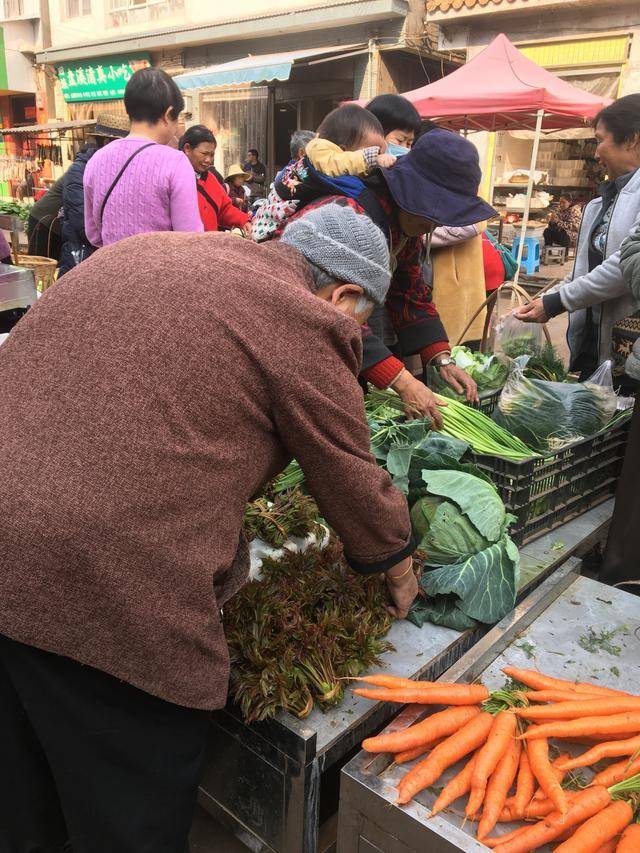 来到云南不想走了:深爱上了玉溪的菜市场