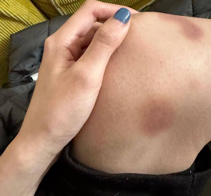 及其经纪人,对小女孩进行欺凌,不让她进门,抓她的手腕,捏她的手链