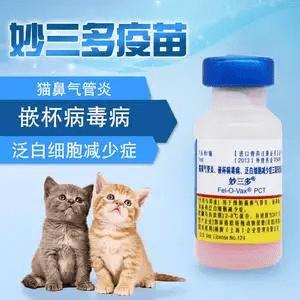 妙三多预防什么?猫咪三大传染性强、致死率高的疾病不能不防_接种_疫苗_症状