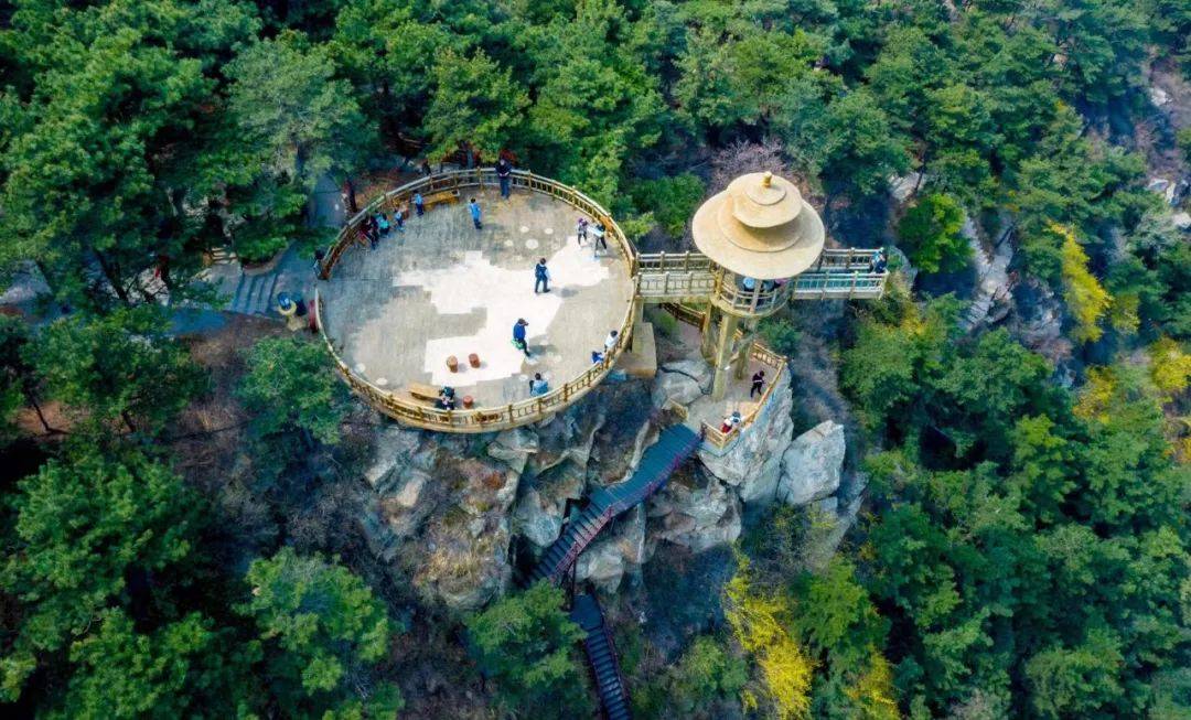 植树踏青两不误|2023年济南植树活动开始招募啦!_孩子_种植_树木