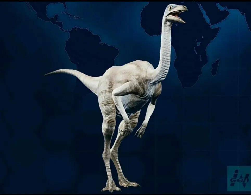 (71)恐龙时代晚期的似鸟龙类_后肢_鸵鸟_牙齿