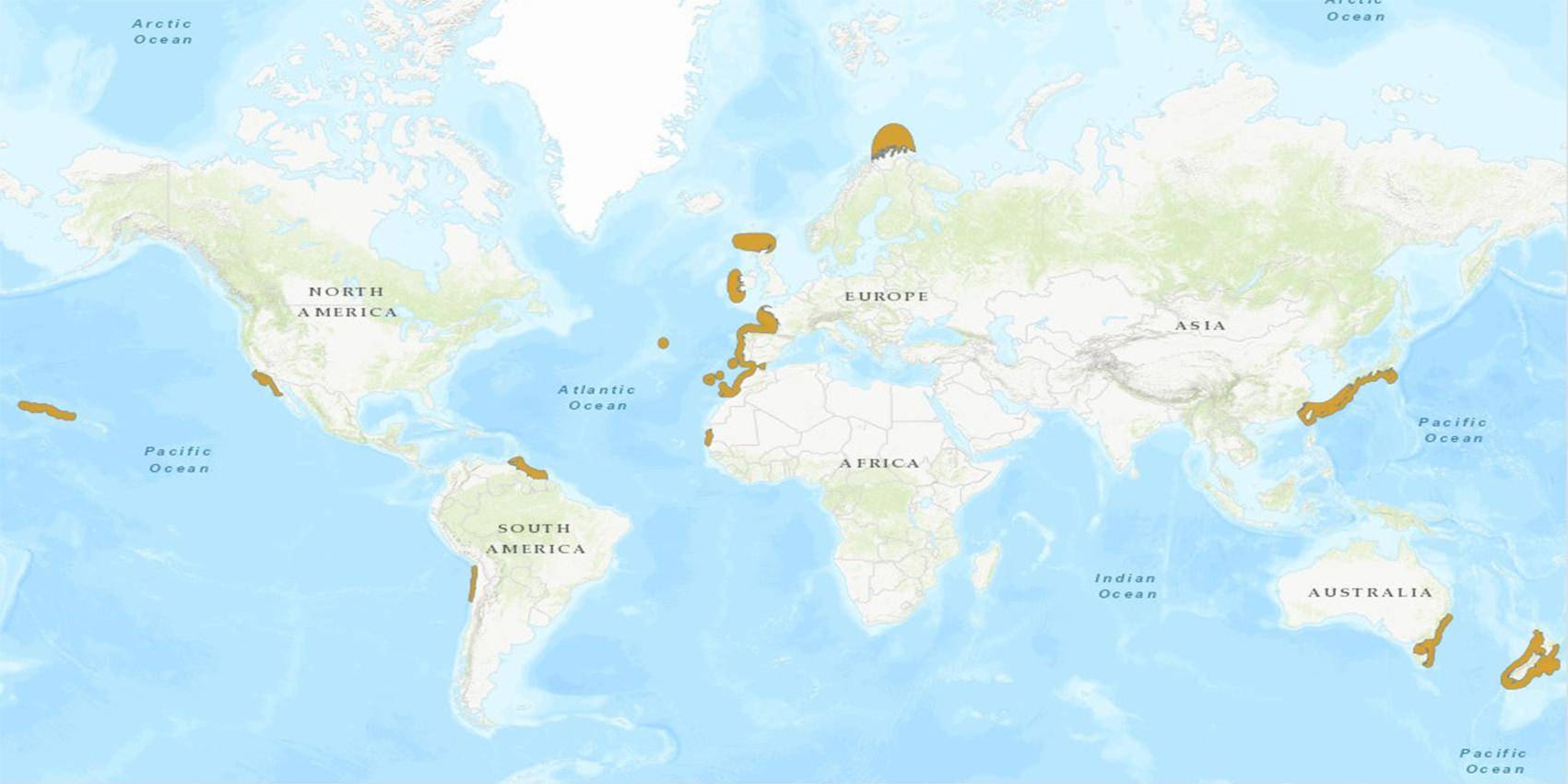 原产地:在东大西洋,出现在挪威北部,苏格兰北部和爱尔兰西部,从国外到