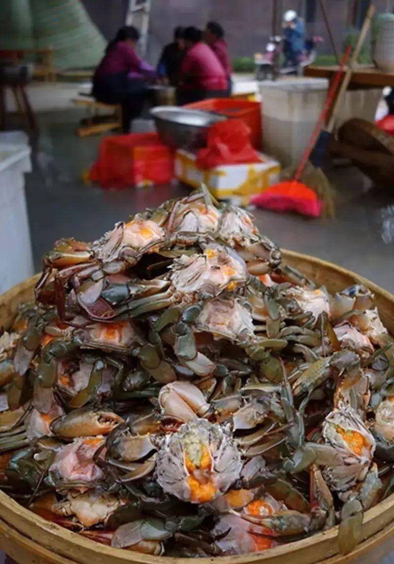 福州国宴,海鲜唱主角@福建画报在福鼎,新的"八盘五"是主流,即八大盘菜