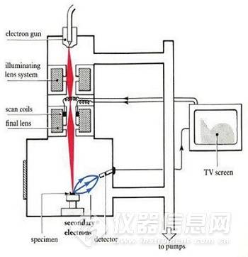無論是透射電子顯微鏡還是掃描電子顯微鏡,都是靠電子束照射樣品來
