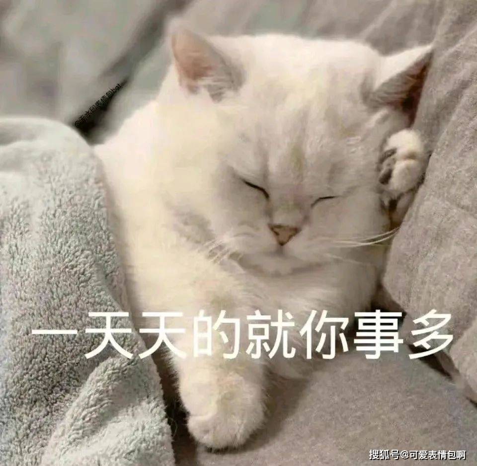 近期微信热门脸色包（有猪猪侠）