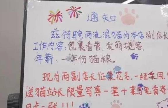 客户案例