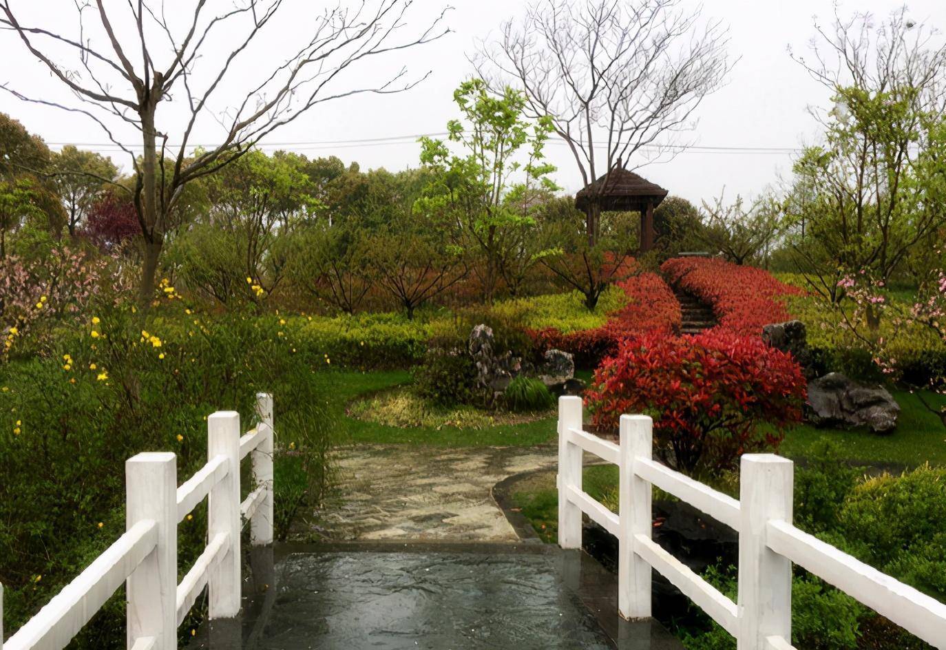 上海閔行免費公園,地處郊區空氣清新,奇怪的是建好多年遊客稀少_陳行