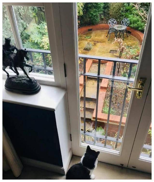 62岁费翔的豪宅火了,全屋奢华精致,复古温馨,单身也依旧精致_院子_的