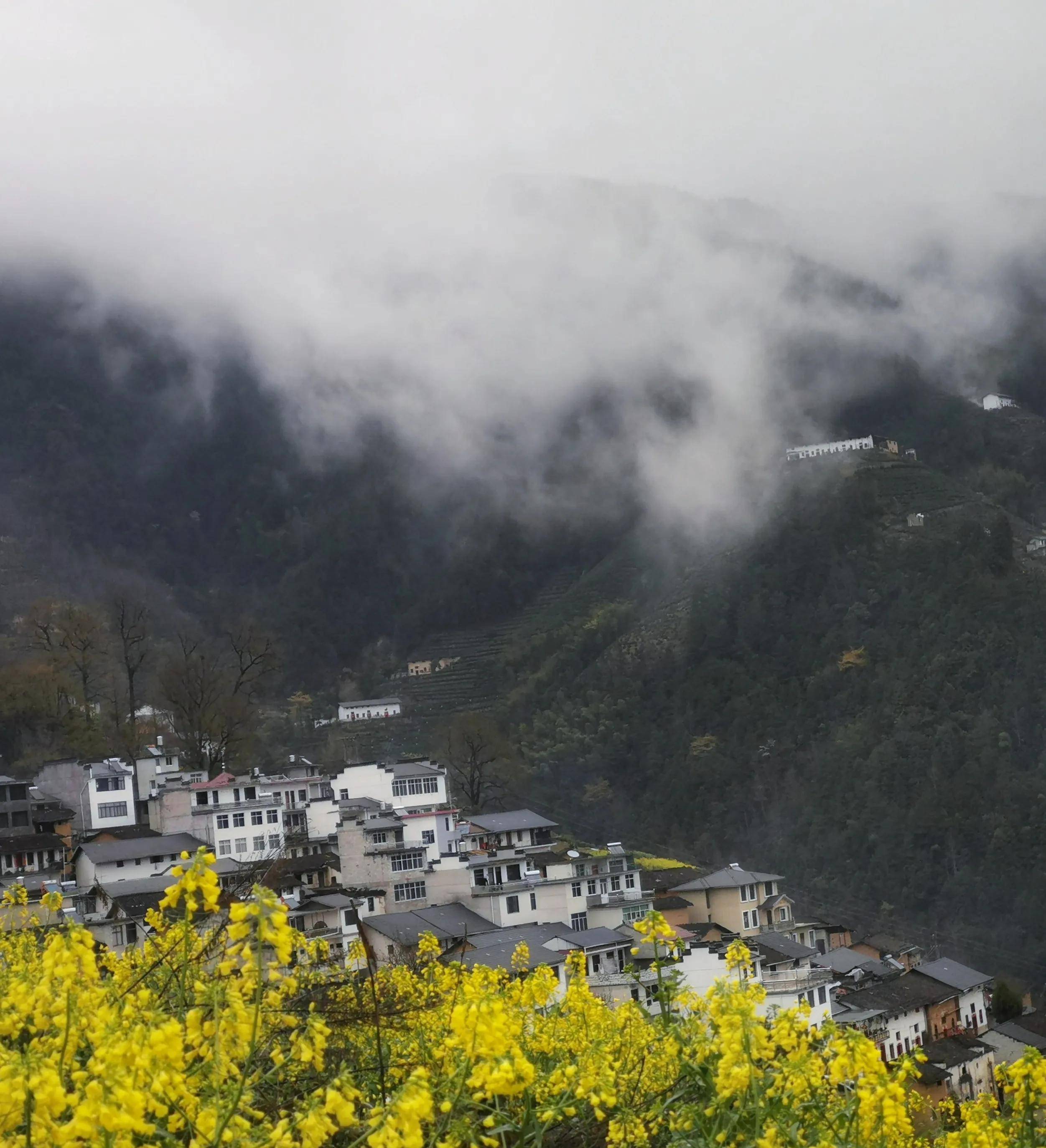 歙县蜈蚣岭农家乐图片