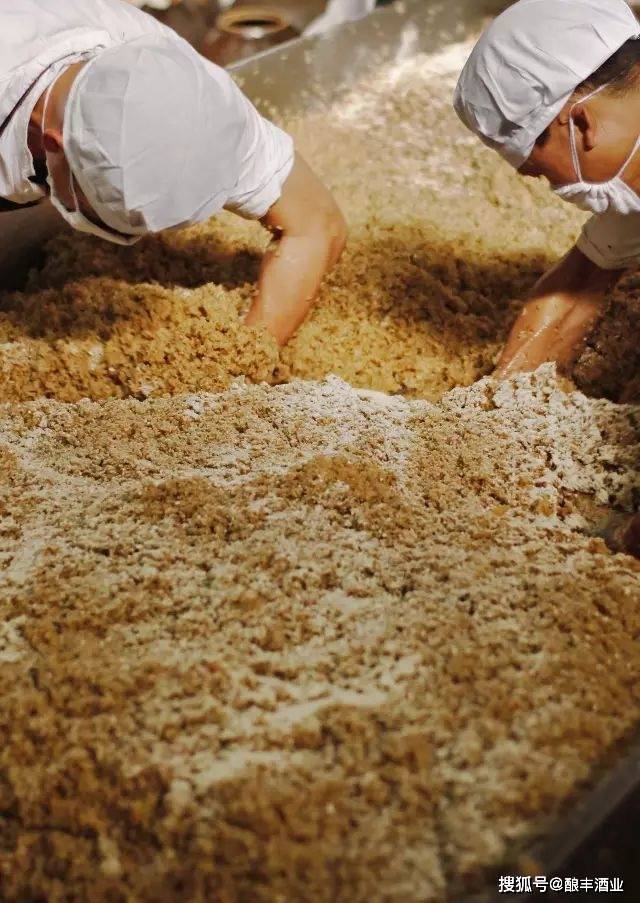 人们开始用麸皮为原料,利用霉菌接种技术进行麸曲培养