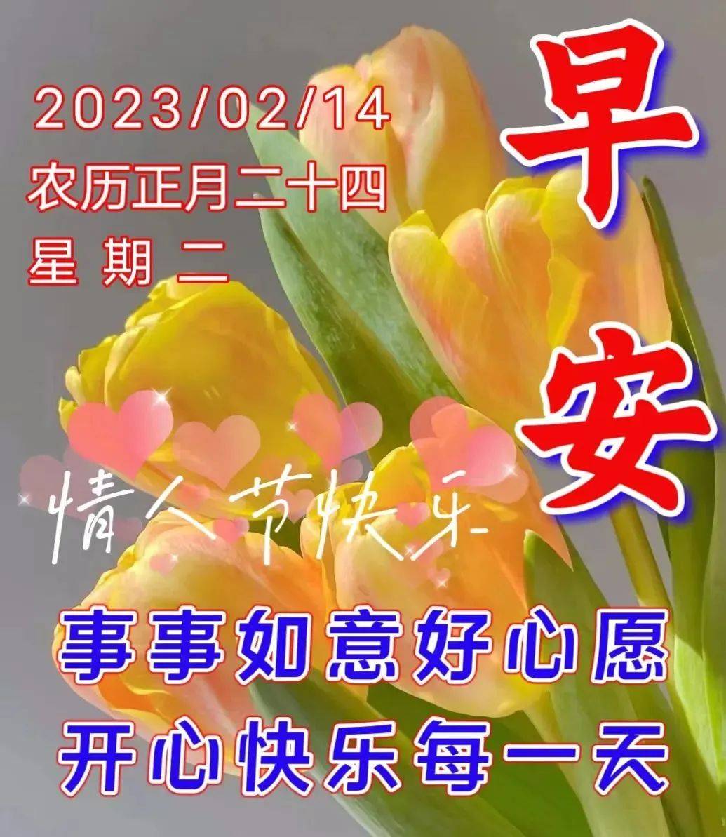 2月14情人节早上好图片图片