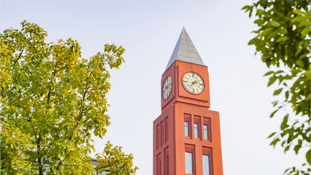 校园印象·春归 | 南京外国语学校方山分校_绿意_阳光_莎翁