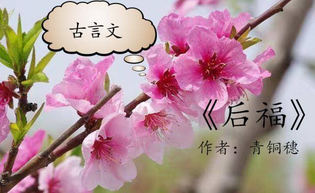 高分古言《后福》《喜良缘》《骄娇无双》《司茶皇后》是著名佳作_永