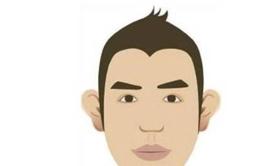 悬胆鼻悬胆鼻又有另外一种叫法叫猪胆鼻,这种人的特征就是山根断袖