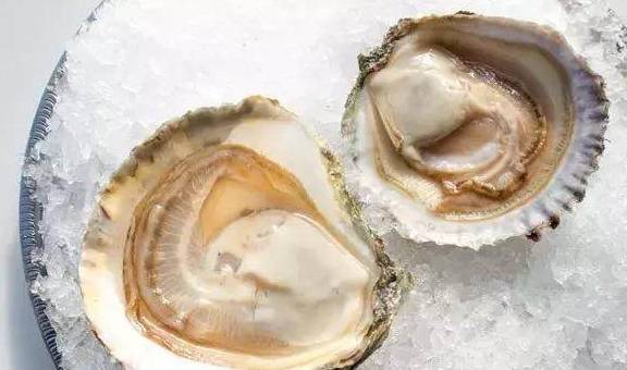 熊本生蚝、西雅图奶油生蚝……美国**生蚝大赏！(图21)