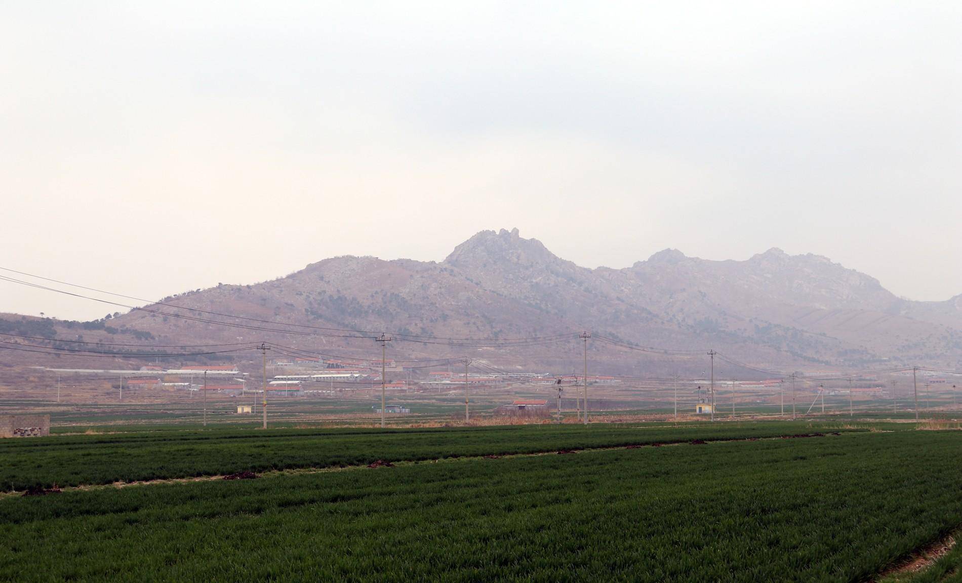 "小滩"不小,海阳市留格庄镇小滩村,一个规模很大的任姓聚居地_村庄