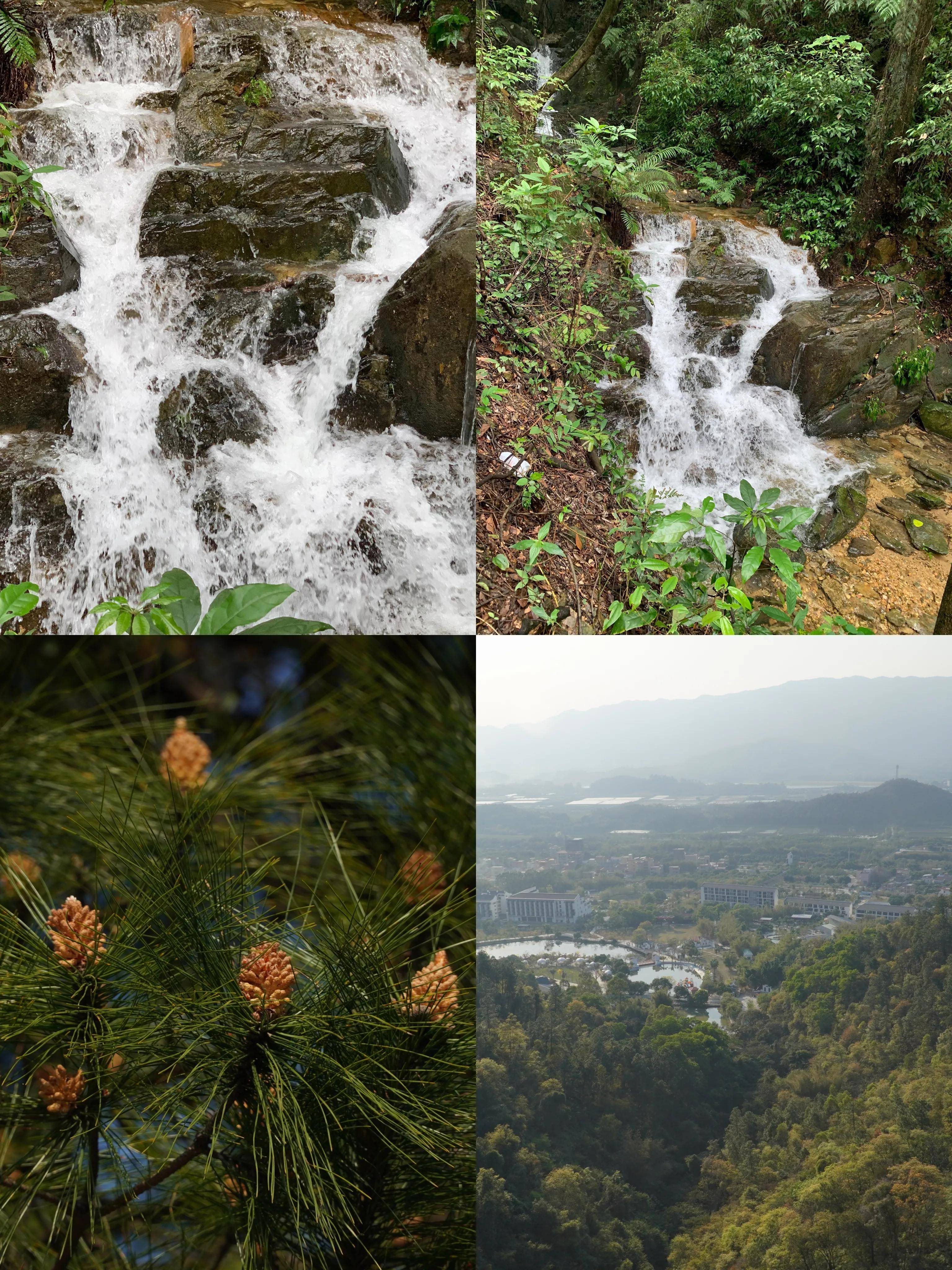 佛山南丹山丛林王国｜春暖花开，我们一路去春游吧