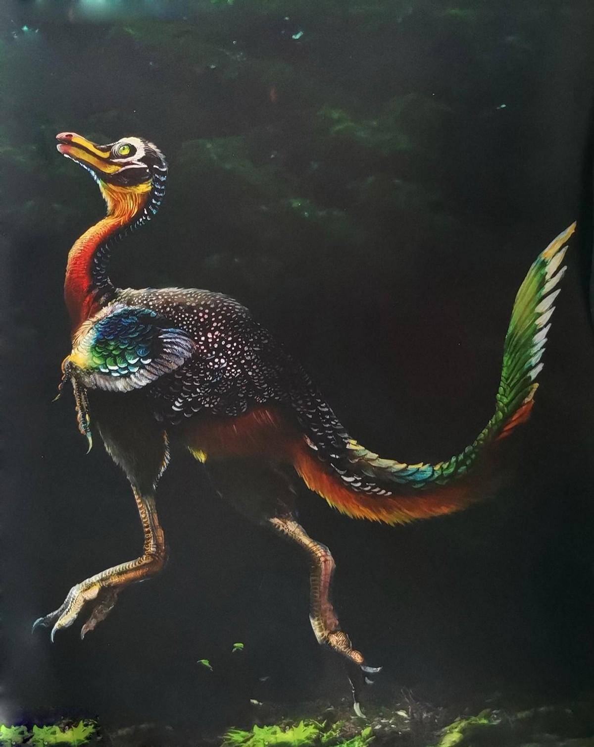 河南秋扒龙生物形象科学复原图(9)迷你豫龙迷你豫龙与栾川盗龙,河南