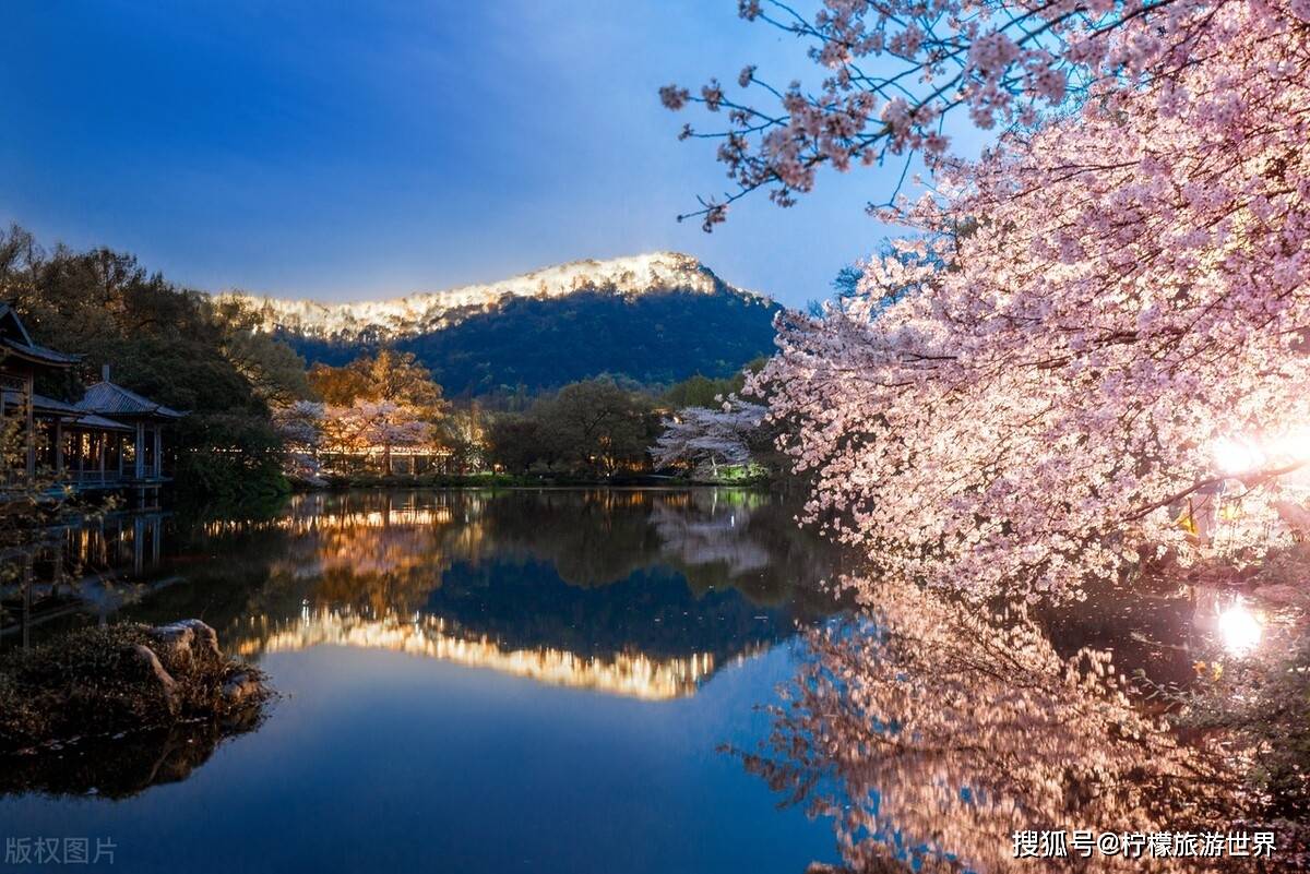 杭州踏春赏花攻略，这个春天我也要去的十个绝美赏花地，提前收藏_手机搜狐网