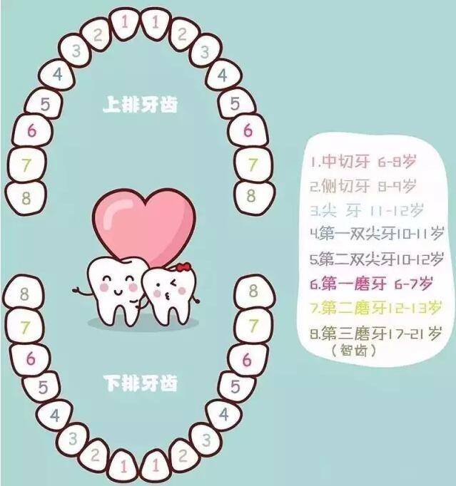 孩子乳牙掉了,迟迟不长新牙是怎么回事？这4点原因妈妈们别忽视