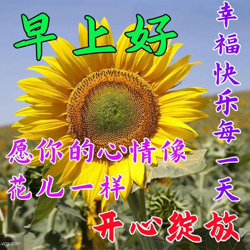 9张最新非常漂亮的早上好动态祝福语图片大全