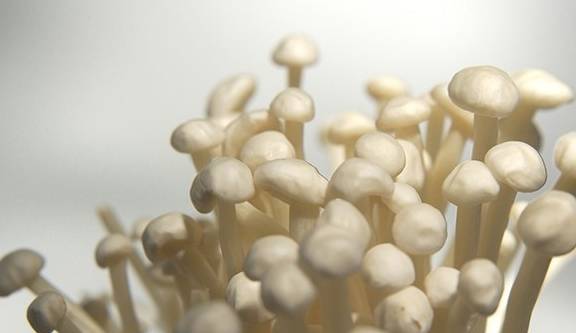 这个菜不贵，预防糖尿病、肥胖症，还可增强智力(图1)