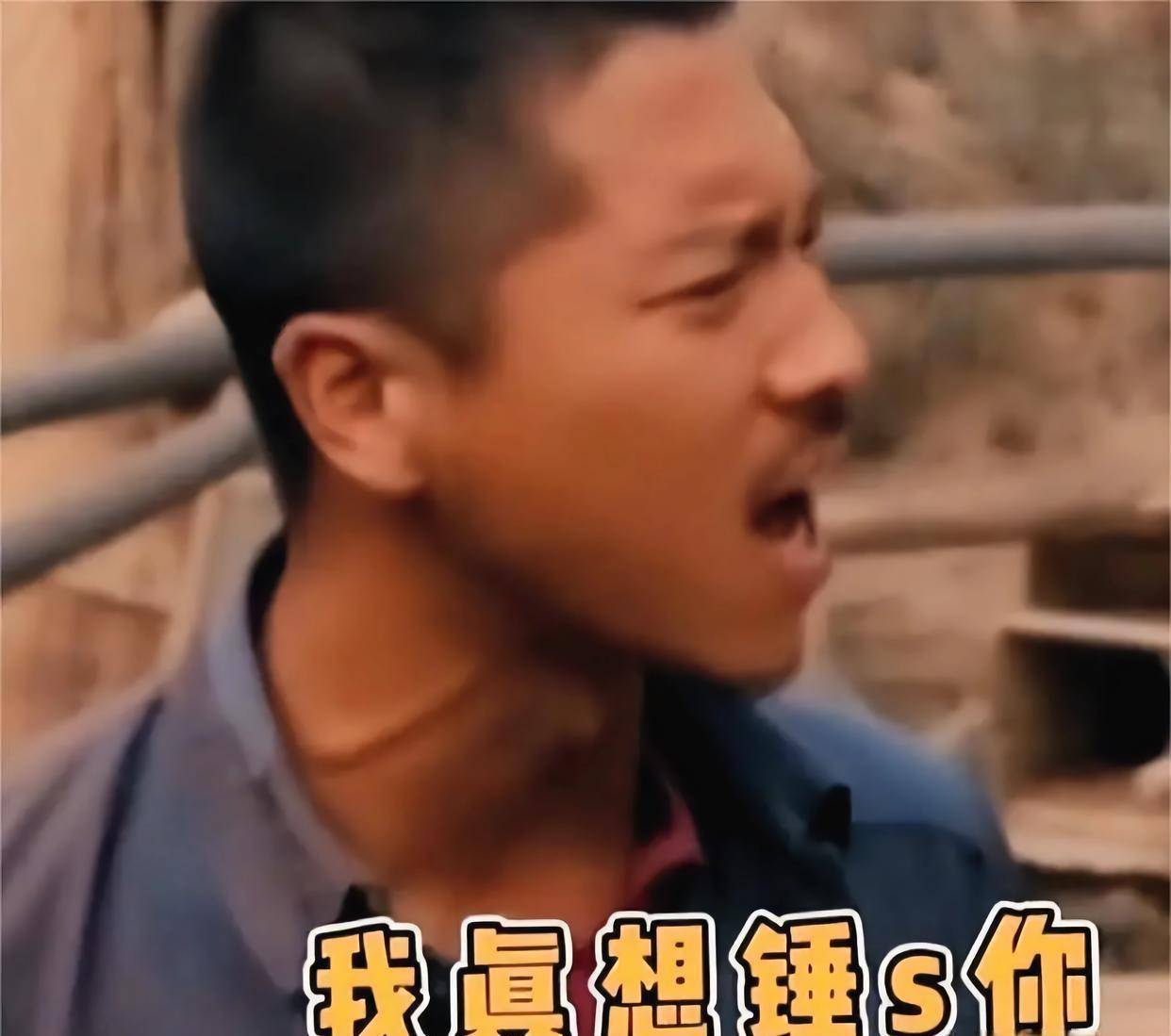 王雷获奖者连热搜都上不了《平凡世界》的"西北锤王"却销声匿迹
