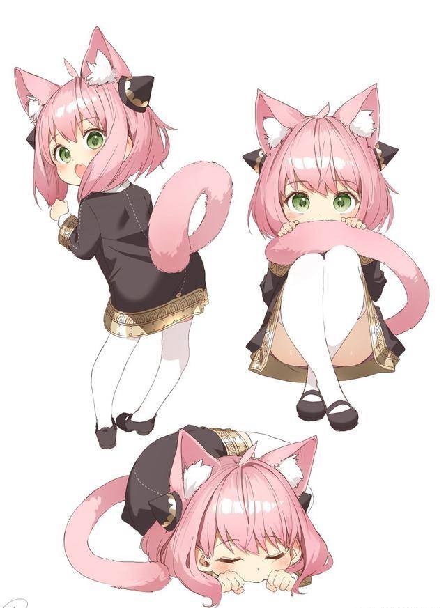 间谍过家家:猫娘化的萝莉阿尼娅同人图完美的次子攻略及诱捕器_猫猫