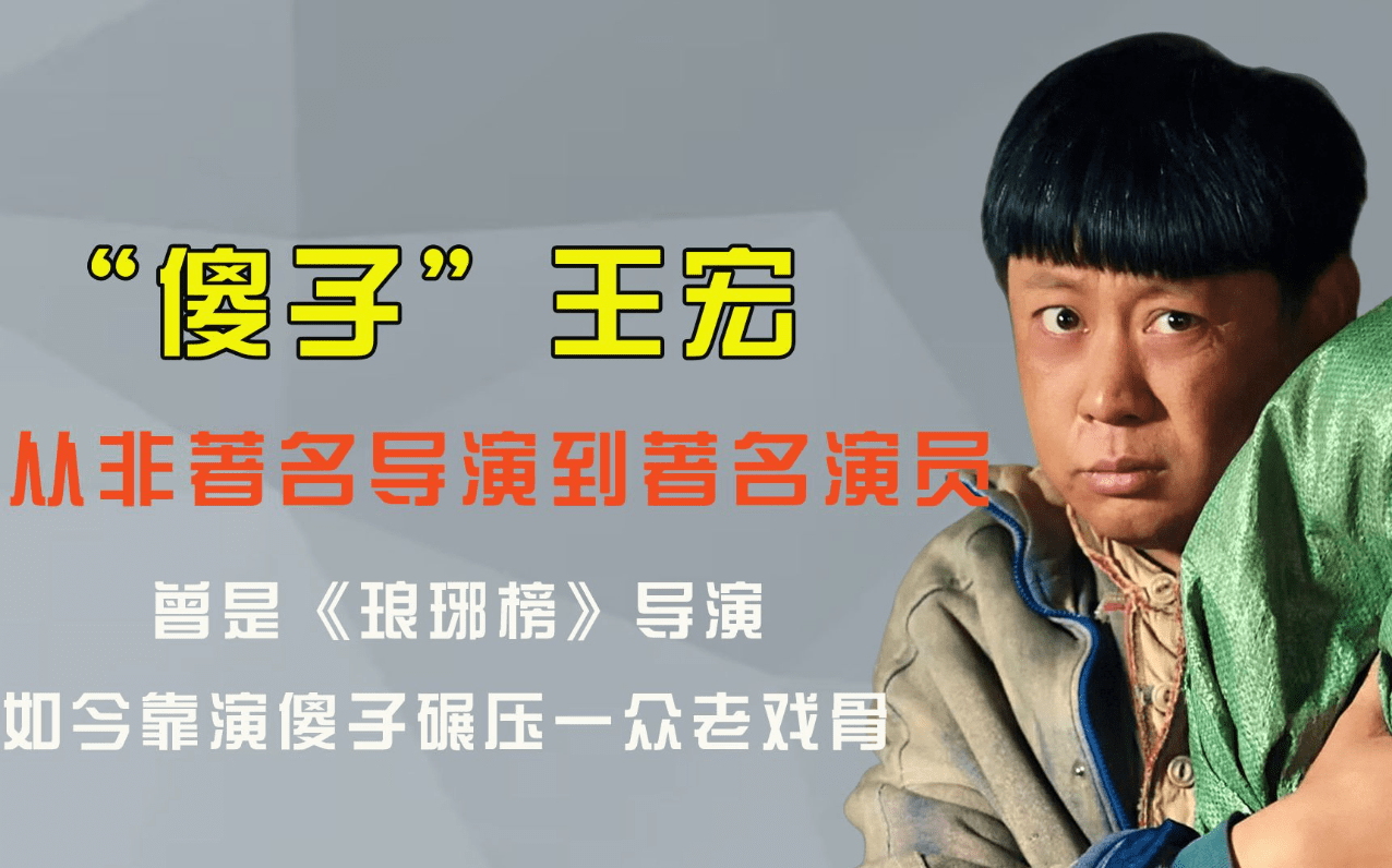 王宏饰演者图片