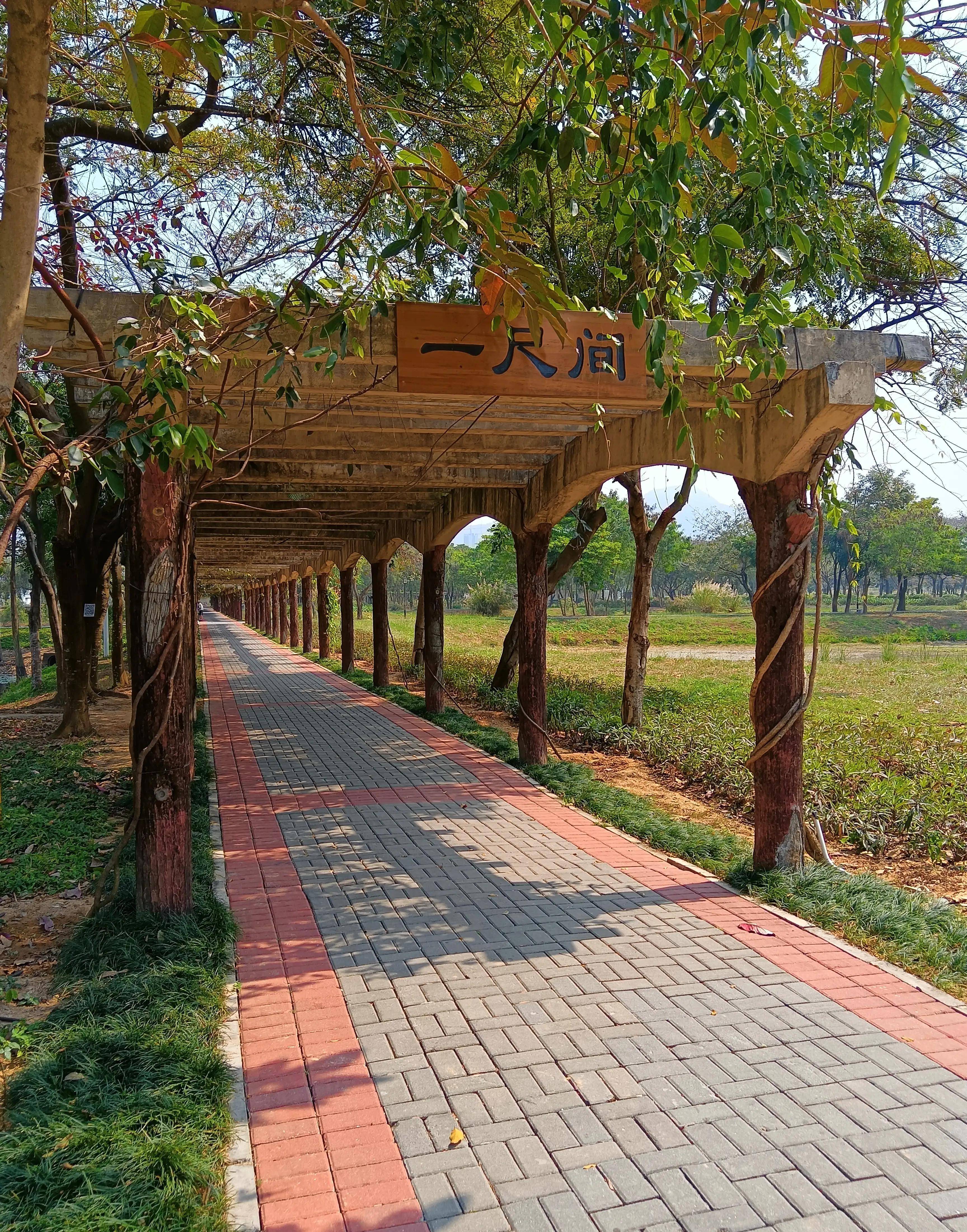 石岩湖湿地公园管理处图片