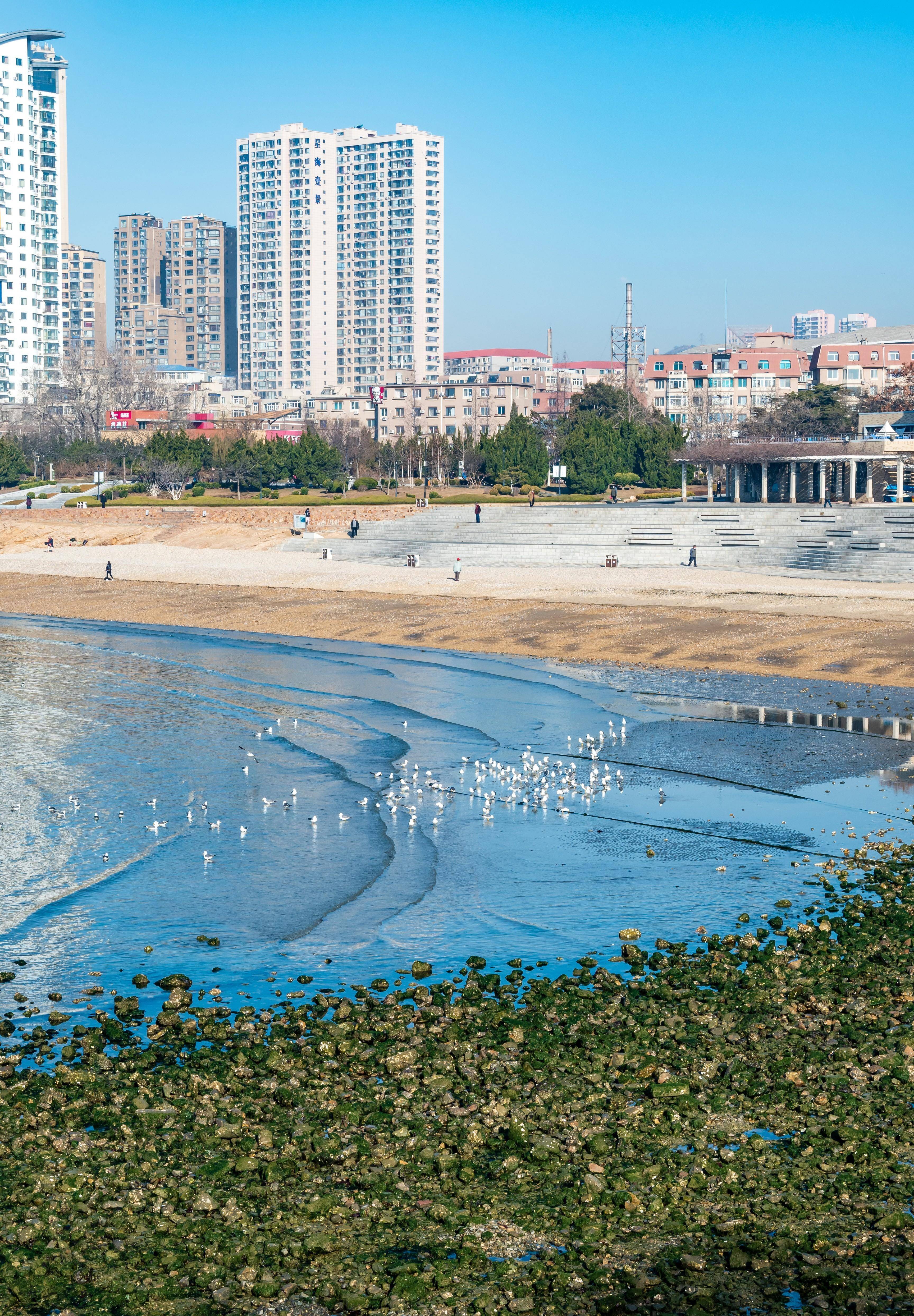 旅游城市大连历史最悠久的海滨公园,童年春游打卡地,星海公园